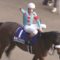 【競馬・安田記念】ルメール「アーモンドアイはダリア、ミエスク、ウインクスと並ぶスーパーレジェンドホースの域になる」