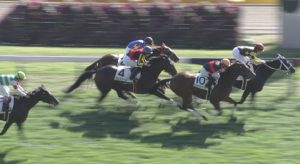 【競馬】怪物だらけと言われた東スポ杯が全部駄馬でワロタ