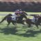 【競馬】ムーアvs石川裕紀人の馬をぶつける激しい叩き合いｗｗｗｗｗｗｗｗｗｗｗｗｗｗｗｗｗｗｗｗｗｗｗｗｗｗｗｗｗｗｗｗｗｗｗｗ