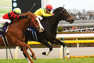 【競馬】ルメールに似合う勝負服