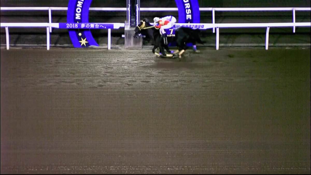 【競馬】続報…道営競馬、北海道2歳優駿の誤審を公式に認める「誤りがあったことは確か。今後については検討中」