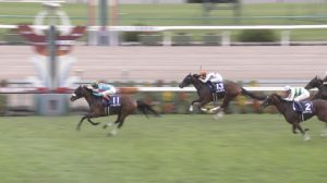 【競馬/ヴィクトリアM】ミッキーチャームの人気がおかしい