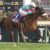 【競馬/有馬記念】3歳牝馬3冠馬、皐月賞、ダービー、菊花賞馬全部回避する最低の有馬記念