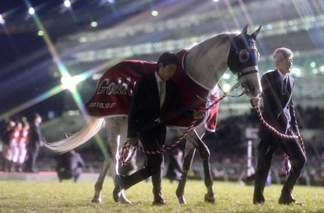 【競馬】JRAがビビる2019年のゴールドシップ問題がすごいらしい