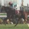 【競馬・新馬戦】6億の馬アドマイヤビルゴって強いの？【京都6R 武豊】