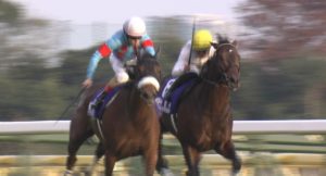 【競馬/有馬記念】ジャパンカップのタイムはなんの価値もないことが証明された・・・