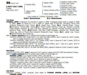 【競馬】海外セリに登場～ウオッカの2017(父フランケル、牡馬)を落札するのは誰か
