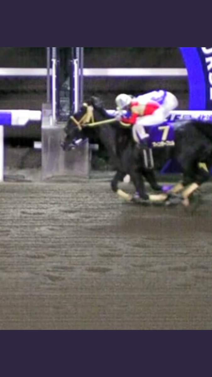 【競馬】続報…道営競馬、北海道2歳優駿の誤審を公式に認める「誤りがあったことは確か。今後については検討中」