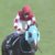 【競馬】有馬記念ファン投票中間発表　オジュウチョウサン 3位