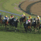 【競馬/東スポ杯2歳S】[動画] ルメールが検量室で激怒！！｢ぶつけてきたジョッキー誰？下手すぎる｣