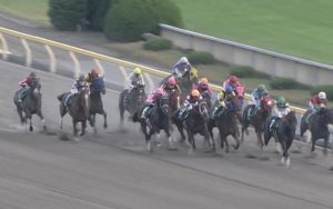 【競馬/武蔵野S】ウェスタールンド信者「ウェスタールンド最強！前走はクソ騎乗！このメンツで負けるはずがない！」