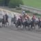 【競馬/武蔵野S】ウェスタールンド信者「ウェスタールンド最強！前走はクソ騎乗！このメンツで負けるはずがない！」