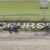 【競馬】カトレア賞メイクハッピー強すぎワロタｗｗｗｗｗｗｗｗ