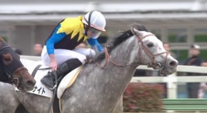 【競馬】R.ムーア　勝率0.051 連対率0.308