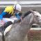 【競馬】デットーリとムーア来日･･ルメールが小者に見える