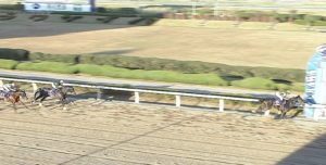 【競馬】内田さん、浦和記念単勝1.4倍のグリムを飛ばしてしまう