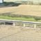 【競馬】浦和記念グリムの単勝にジャパンカップの軍資金を全て賭けてしまった