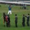 【競馬/JBCレディースC】横山典弘のフライングディスマウント美しすぎワロタｗｗｗｗｗｗｗｗｗｗｗｗ