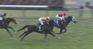 【競馬】武豊、オジュウチョウサンは「1,000級とは差を感じる」 【競馬】武豊、オジュウチョウサンは「1,000級とは差を感じる」