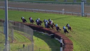 【海外競馬】凱旋門賞→BCターフ連勝エネイブル強すぎワロタｗｗｗｗｗｗｗｗｗｗｗｗｗｗｗｗｗｗｗｗｗ