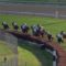 【海外競馬】凱旋門賞→BCターフ連勝エネイブル強すぎワロタｗｗｗｗｗｗｗｗｗｗｗｗｗｗｗｗｗｗｗｗｗ