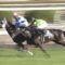 【競馬・神戸新聞杯】ワールドプレミア武豊「気性がまるで成長していない……」