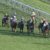 【競馬】東スポ杯2歳SがGⅡ昇格