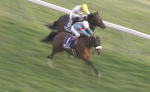 【競馬】金鯱賞にアーモンドアイが出走するってなってたらこのメンツでも1倍だったとでもいうの? 【競馬】金鯱賞にアーモンドアイが出走するってなってたらこのメンツでも1倍だったとでもいうの?