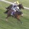 【競馬】金鯱賞にアーモンドアイが出走するってなってたらこのメンツでも1倍だったとでもいうの？