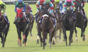 【競馬/ドバイターフ】遂に今夜アーモンドアイの化けの皮が剥がされる時が来たな! 【競馬/ドバイターフ】遂に今夜アーモンドアイの化けの皮が剥がされる時が来たな!