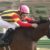 【競馬】世界にはルメールよりうまい騎手が５０人以上、デムーロよりうまい騎手が２００人以上はいる