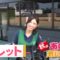 【競馬】[画像] 田辺のバレットかわいすぎｗｗｗｗｗｗｗｗ