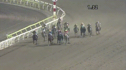 【競馬】[画像] 芝のスピードについていけない的場文男の追い方ｗｗｗｗｗ