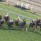 【競馬/東スポ杯2歳S】カテドラルとはなんだったのか【ワグネリアンローテ】