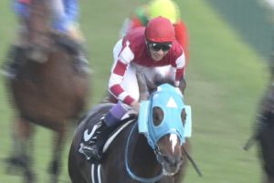 【競馬】オジュウチョウサン、ジャパンC参戦へ 【競馬】オジュウチョウサン、ジャパンC参戦へ