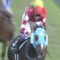【競馬】武豊さん、オジュウチョウサンも下ろされてしまうｗｗｗｗｗｗｗｗ