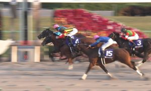 【競馬/JBCレディースC】天才！！横山典弘！！◎アンジュデジール！