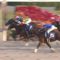 【競馬/JBCレディースC】天才！！横山典弘！！◎アンジュデジール！