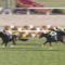 【競馬/阪神JF】枠順確定！武豊シェーングランツ2枠4番、ダノンファンタジー7枠13番