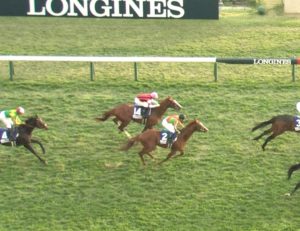 【競馬】スワーヴリチャードの回避で地方馬ハッピーグリンが出走可能に