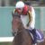 【競馬】外国人騎手に好き放題されててワラタwww