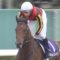 【競馬板】競馬で負け続けるくらいなら、一口でもやった方がマシなんじゃと思うようなった