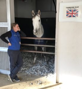 【競馬/ジャパンC】[画像] ジャパンカップに出走するサンダリングブルー（英）が可愛すぎると話題