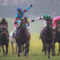 【競馬/有馬記念】[画像] ゴール直後に池添に無視されるルメールｗww