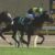 【競馬】福永騎手が何故かビーチサンバをクビに。。