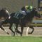 【競馬】オークスでビーチサンバが馬券外なら1週間競馬辞める