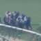 【競馬/有馬記念】９着オジュウに長山オーナー「武騎手にはもう少し思い切って乗ってほしかった」
