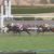 【競馬/阪神C】ウイニング競馬 大久保先生、25万獲得！