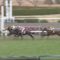 【競馬/阪神C】ダイアナヘイローの単勝に20万入れた。必ずくる。