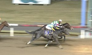 【競馬】デルマルーヴル、ケンタッキーダービー出走を検討 アメリカ三冠競走に日本馬4頭が登録